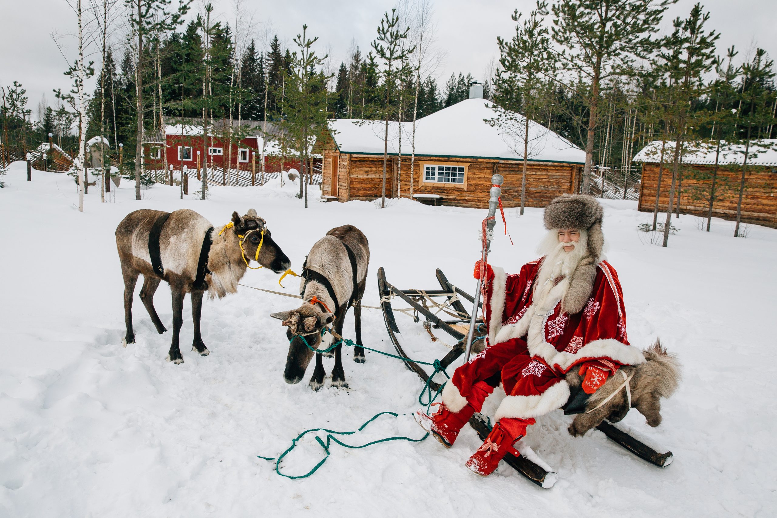 Экскурсионный тур по россии. Авторский тур на новый год. Новый год на море. Авторский тур на новый год. Новогодние туры по россии реклама.